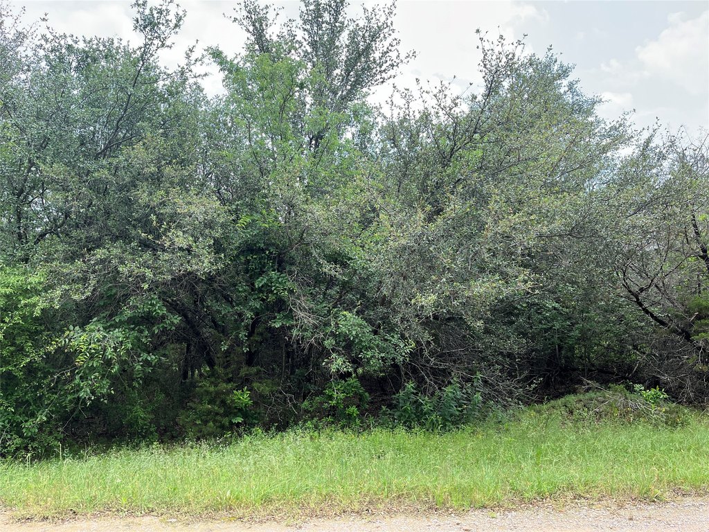 Picture 19