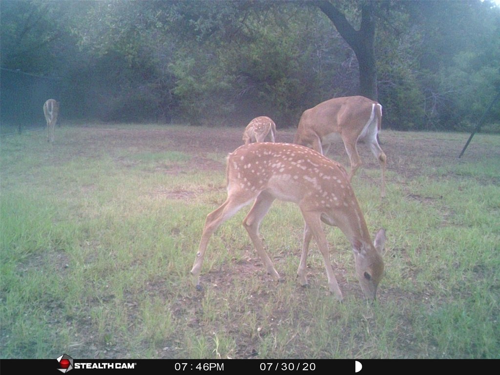 Picture 9
