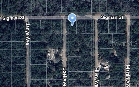 Land Near Lake Grandin