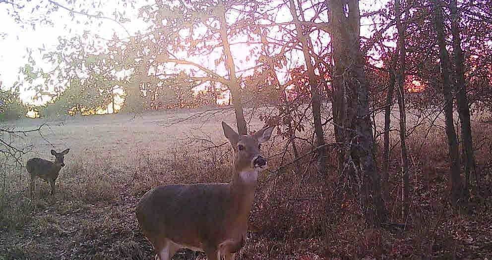 Picture 14