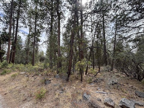 Acreage in Southern Oregon