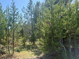 Residential Land in Donnelly, Idaho