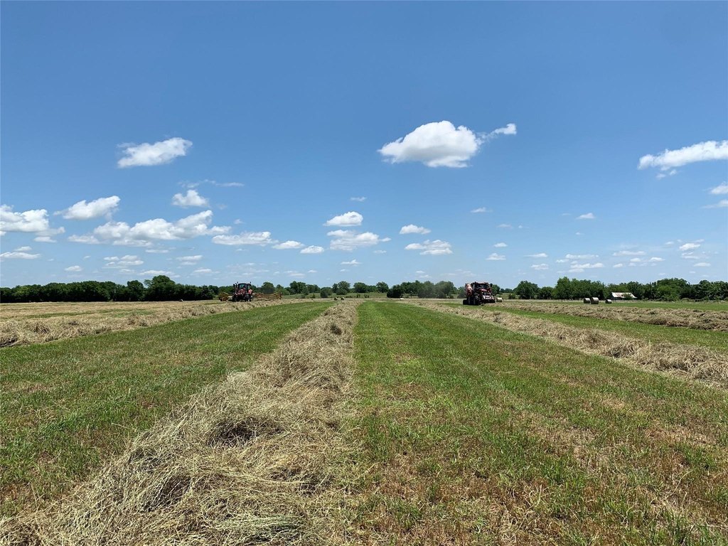 Picture 26