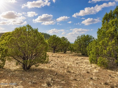 LAND - Vernon, AZ