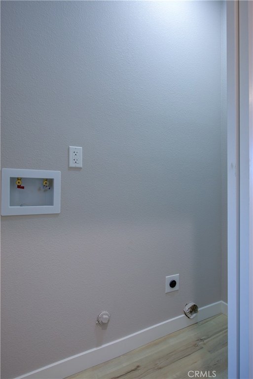 Picture 24