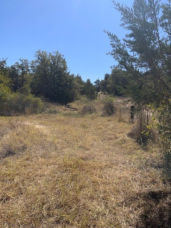 Picture 5