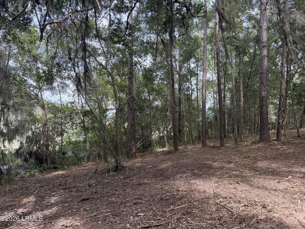 Picture 27