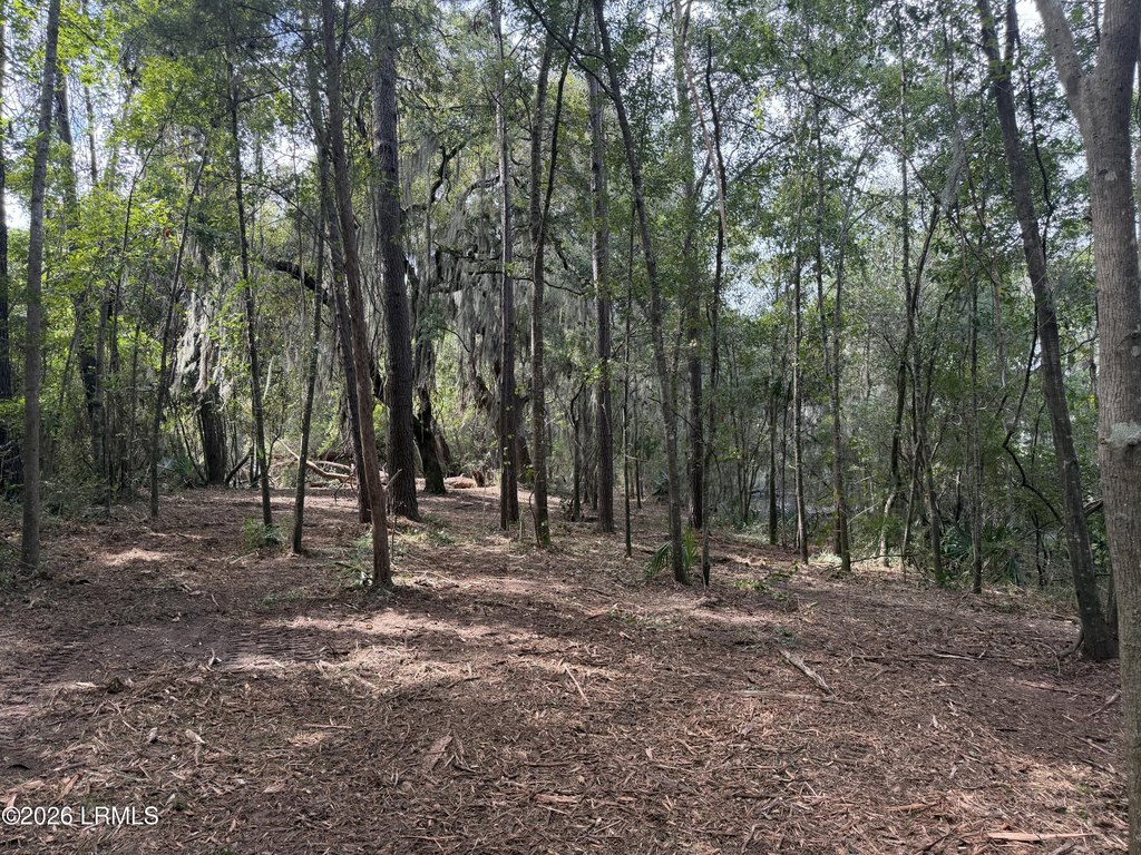 Picture 29
