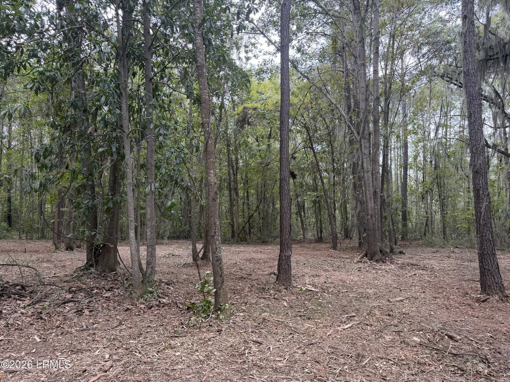 Picture 28