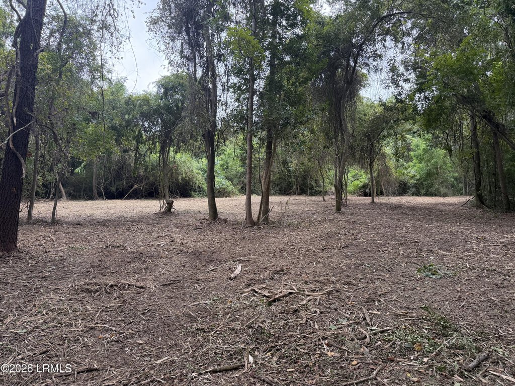 Picture 26