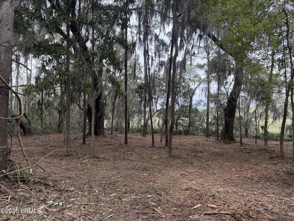 Picture 18