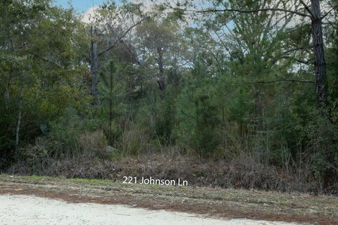 Wooded Lot Near Choctawhatchee Bay