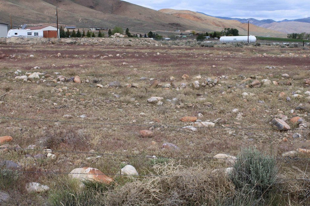 Picture 8