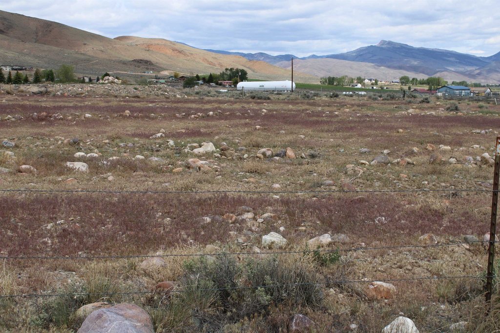 Picture 9