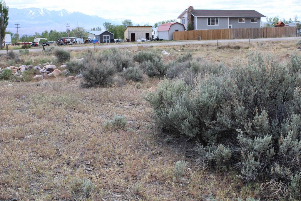 Picture 32