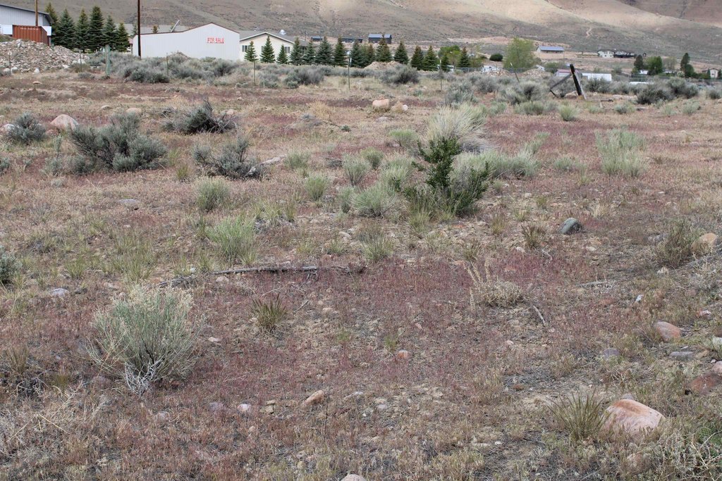 Picture 31