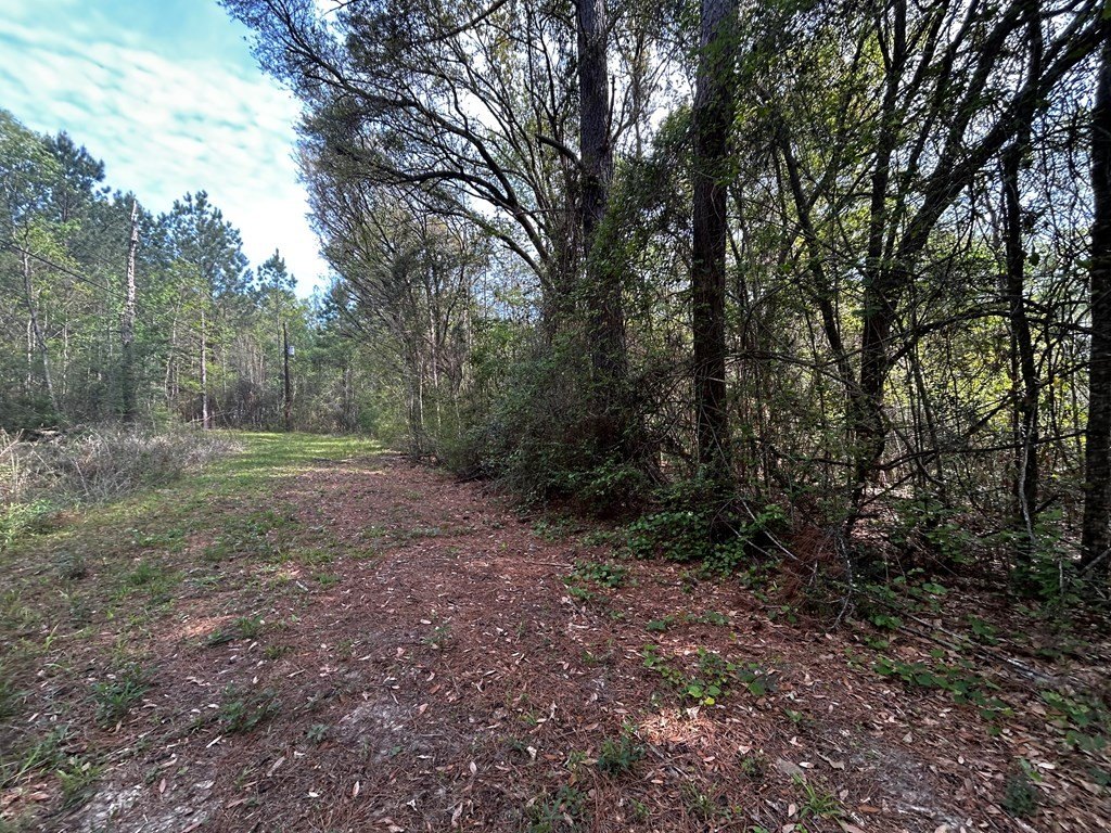 Picture 4