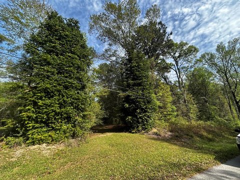 Wooded Land in Carriere, MS