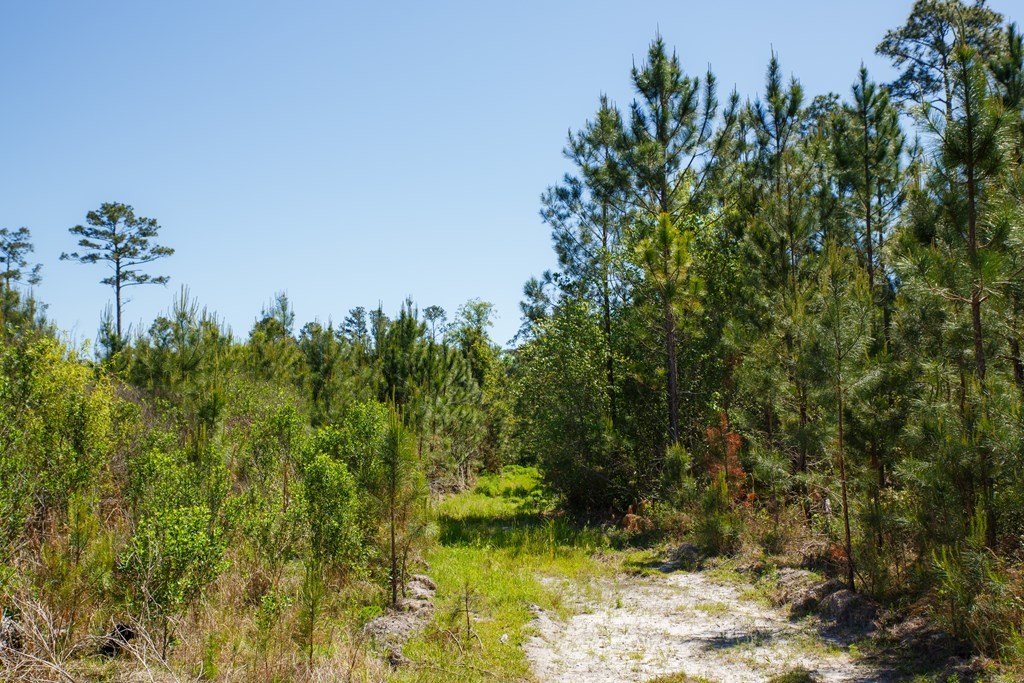 Picture 30