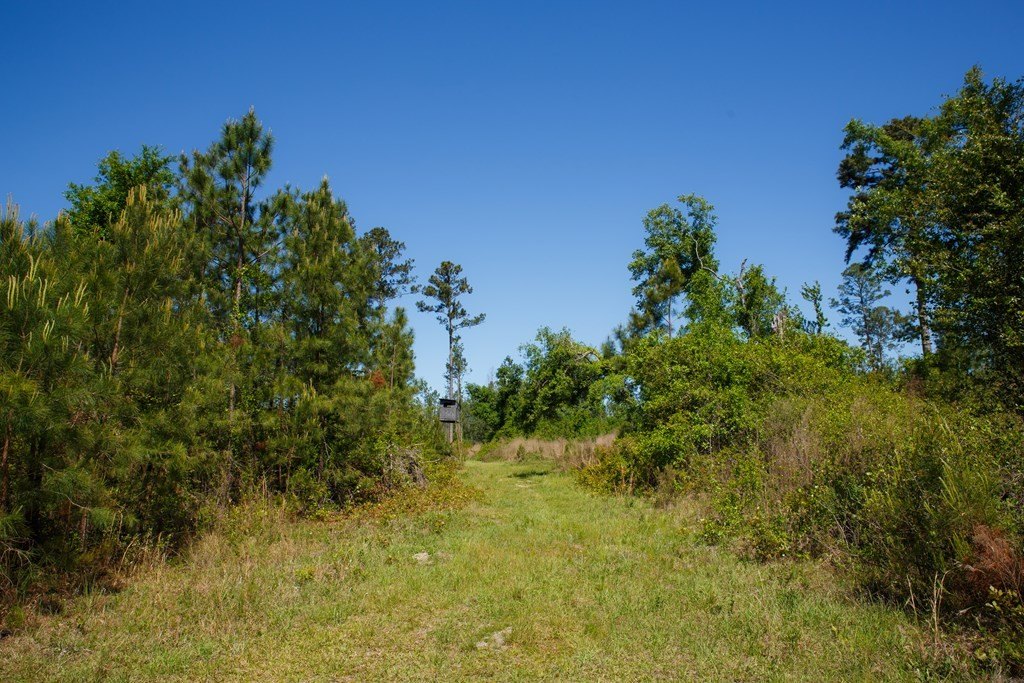 Picture 28