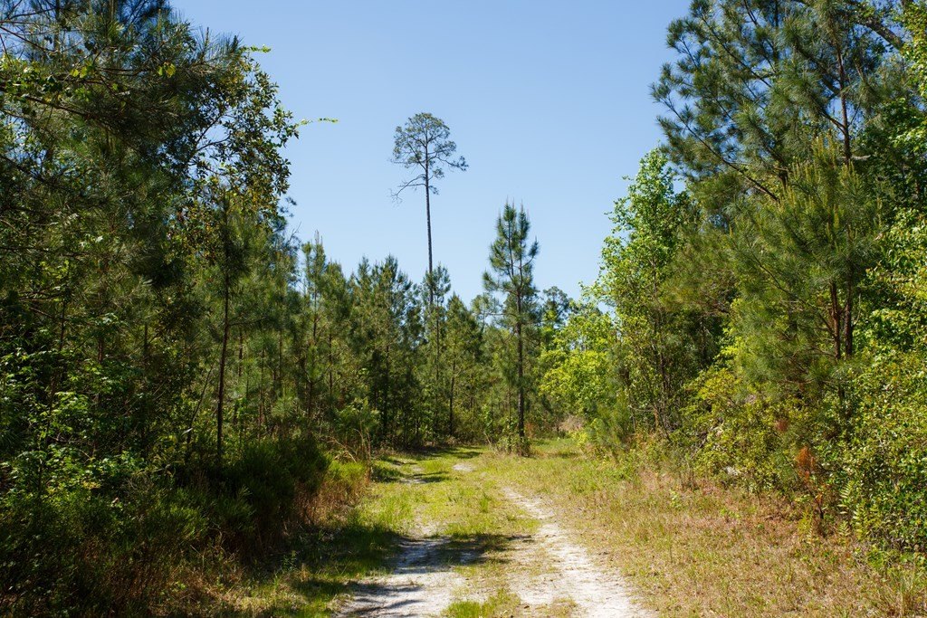 Picture 34