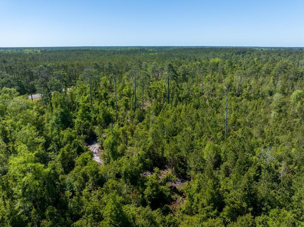 Prime Development Tract in Valdosta