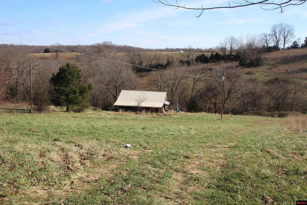 Picture 14