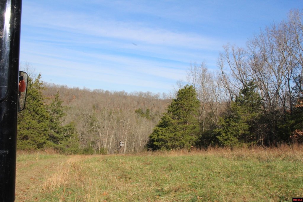 Picture 42