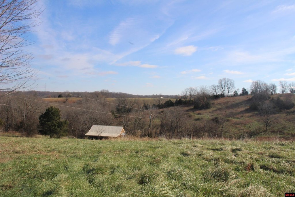 Picture 12