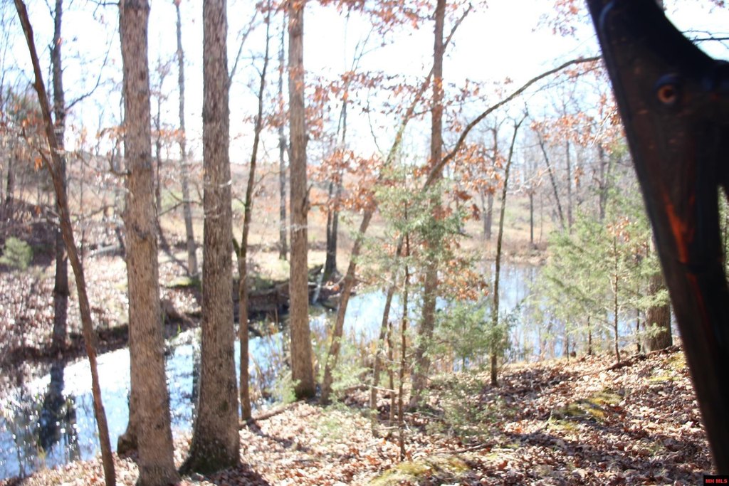 Picture 31