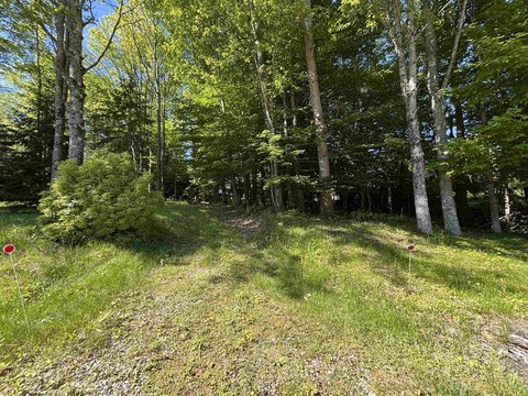 Residential Lot in Franklin, NH