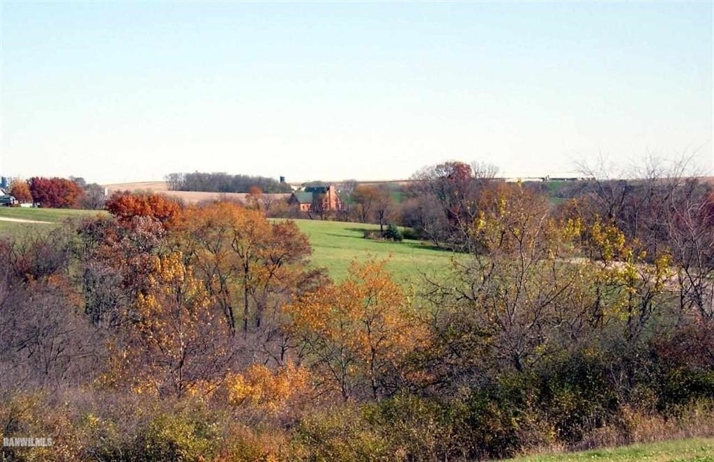 Picture 3