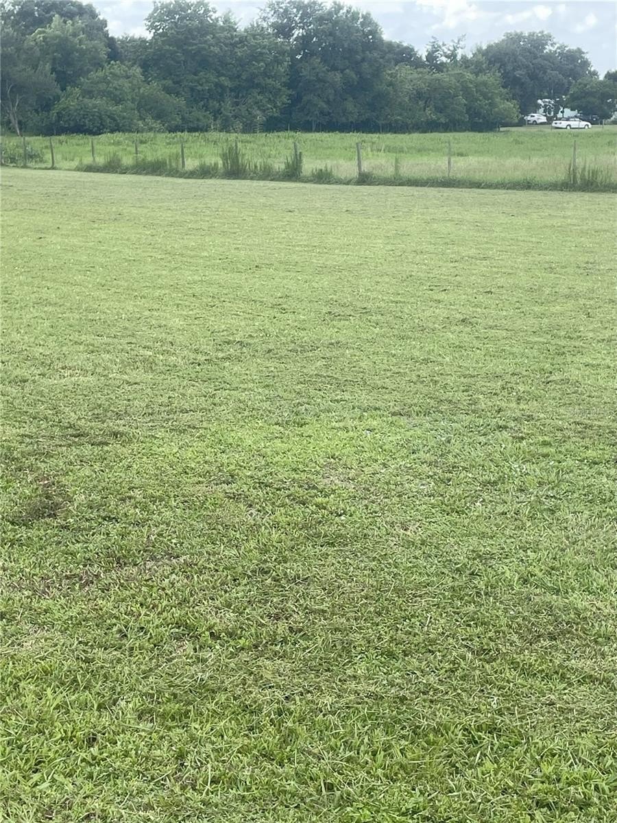 Cleared Lot in Growing Area