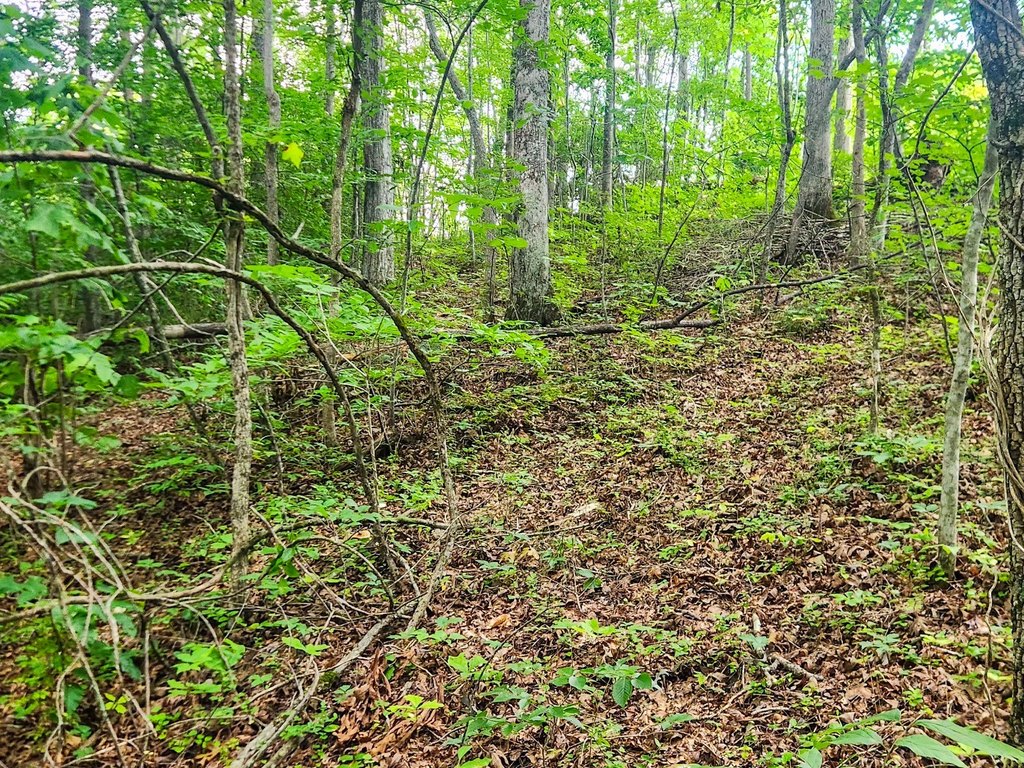 Picture 7