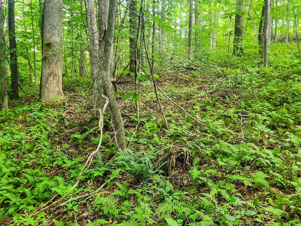 Picture 5