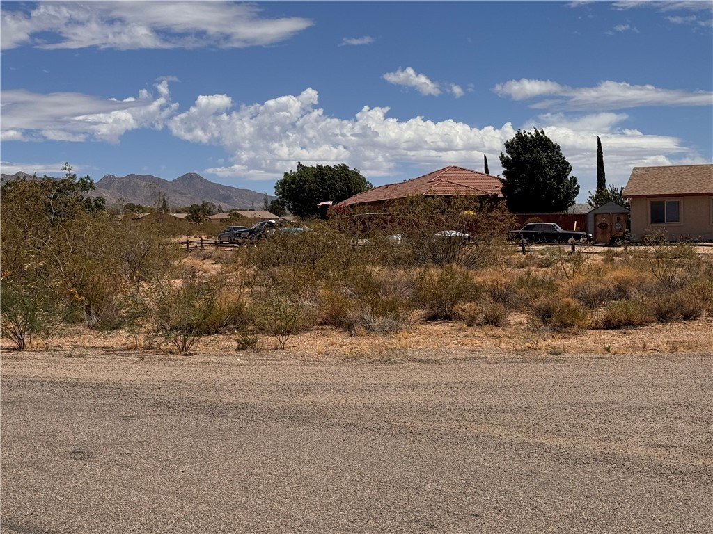 Picture 2