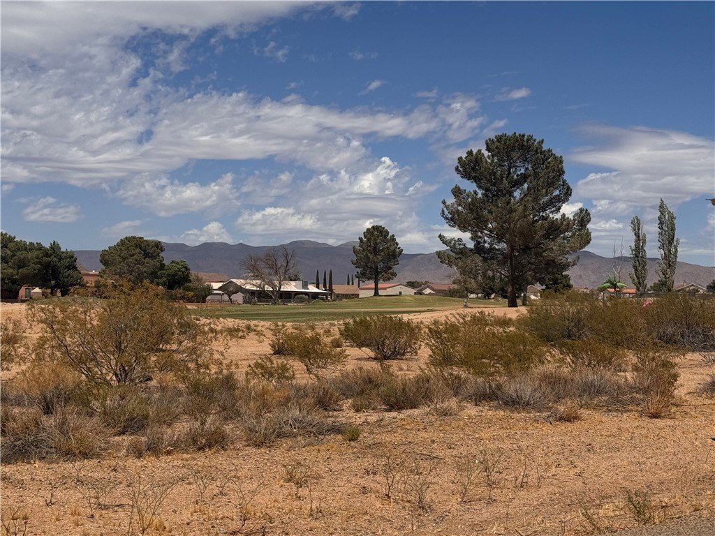 Picture 9
