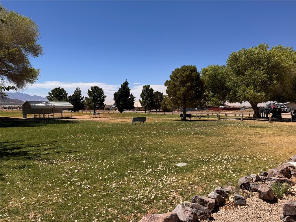 Picture 20