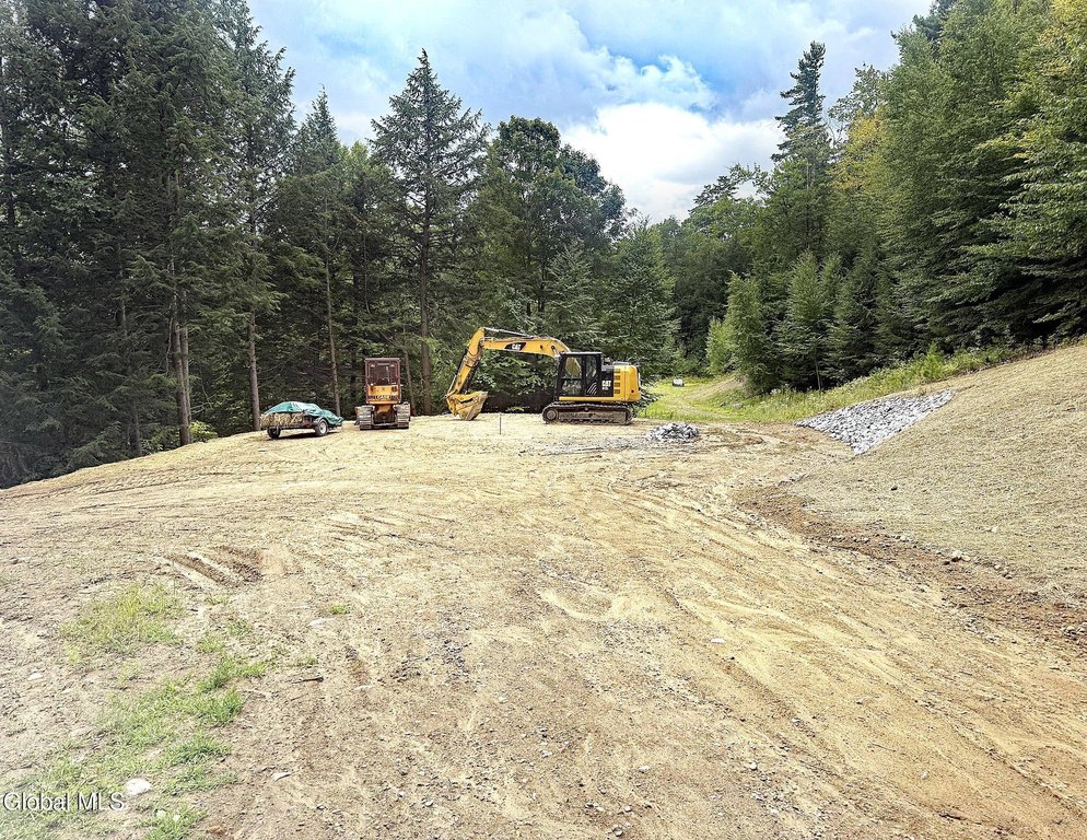 Picture 51