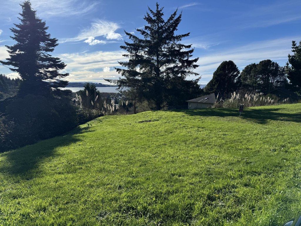 Picture 27