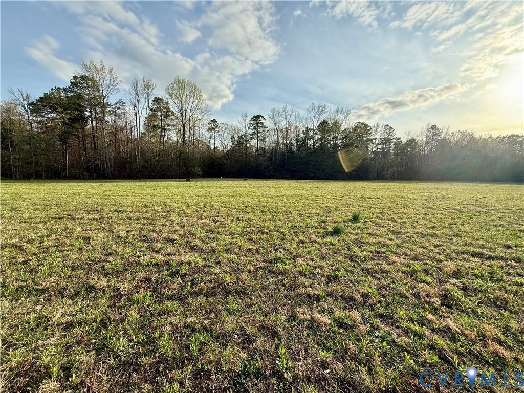 Picture 13