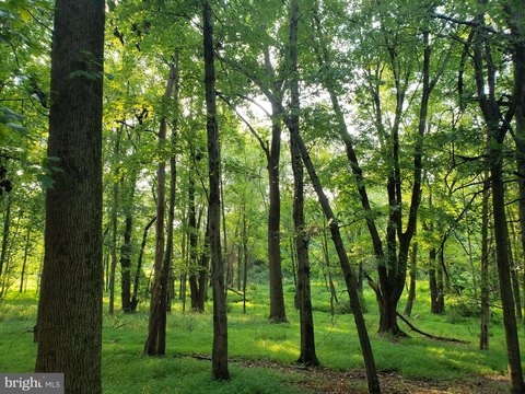 Land, GREAT FALLS, VA