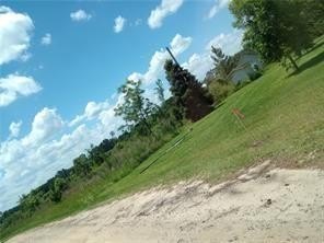Picture 3