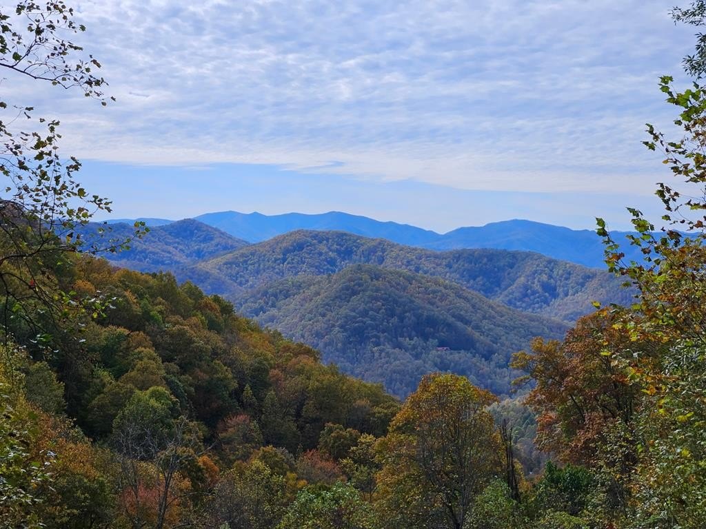 Mountain Community Land Parcel