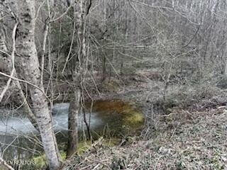 Sevierville Land Near Smoky Mountains