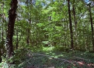 Residential Development Land with Triple Road Frontage