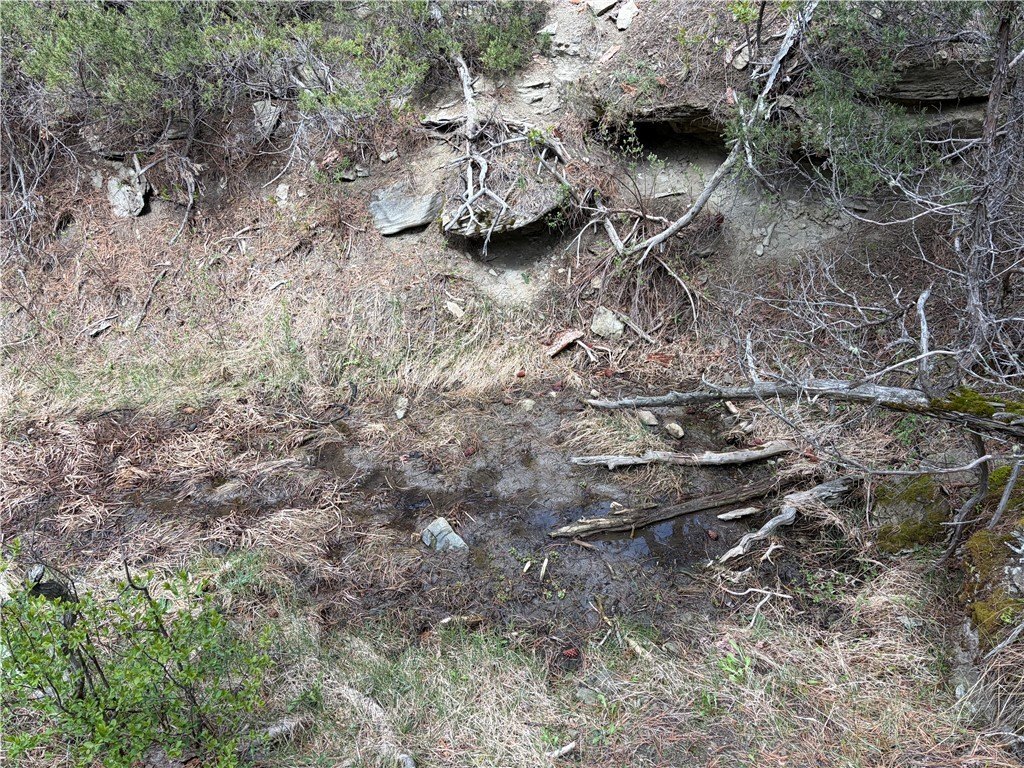 Picture 19