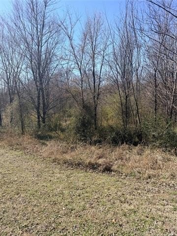 Lake Lot in Wagoner, OK