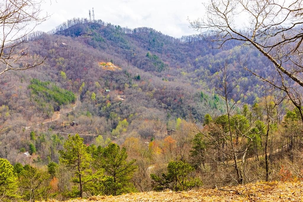 Land with Mountain Views