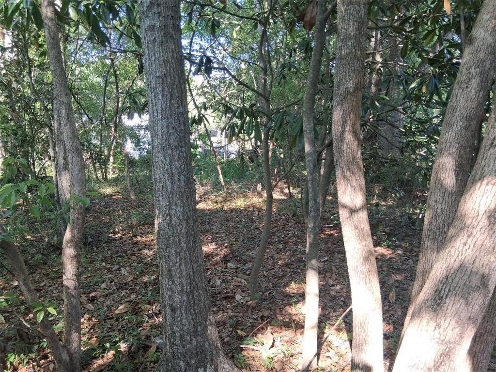 Picture 7